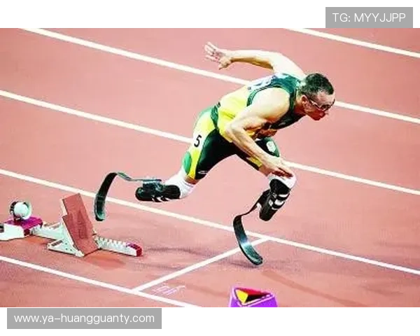 奥斯卡·皮斯托瑞斯家里搜出的枪，比他跑过的奥运赛道还多