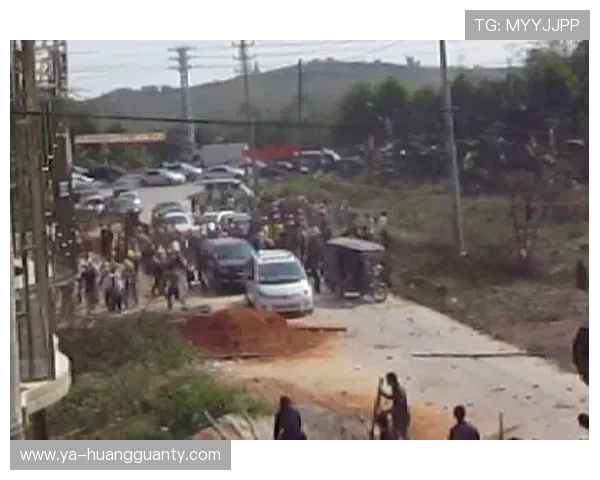 群体冲突判罚：为何多人卷入斗殴却只罚一人？