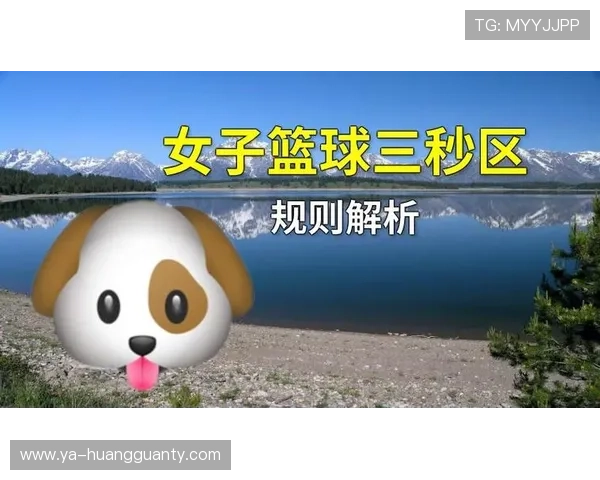 想要弄懂篮球中的三秒区规则，看完这篇新手教学就够了！